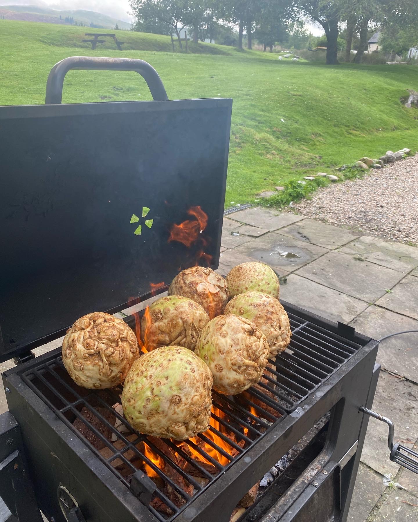 Celeriac cooking over an open fire in the Scottish Highlands